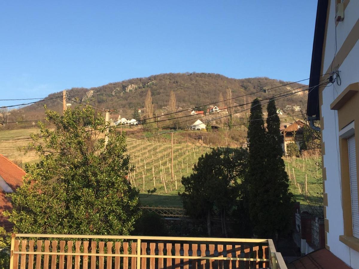 Bacchus Apartman - Borbarlang, Badacsony Badacsonytomaj Buitenkant foto
