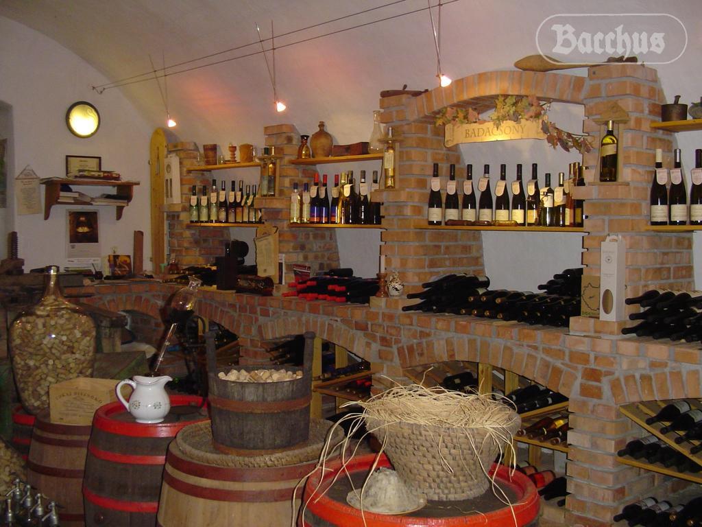 Bacchus Apartman - Borbarlang, Badacsony Badacsonytomaj Buitenkant foto
