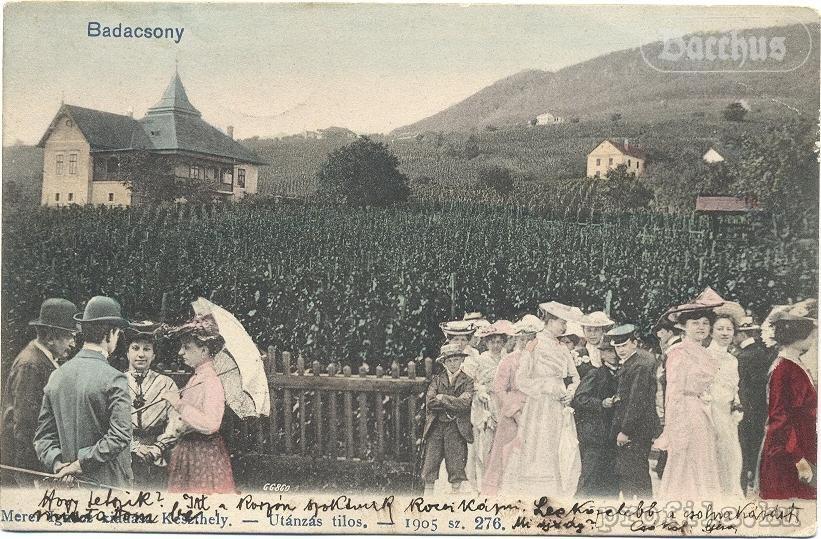 Bacchus Apartman - Borbarlang, Badacsony Badacsonytomaj Buitenkant foto