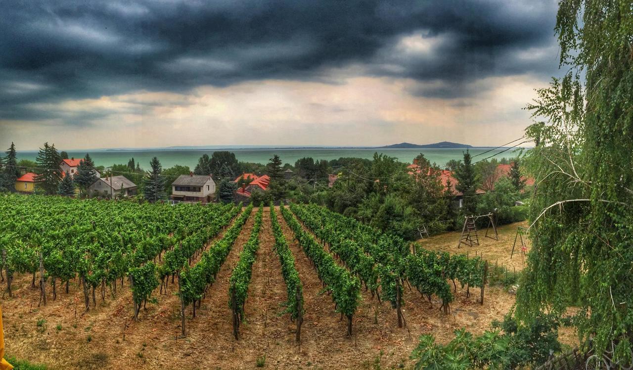 Bacchus Apartman - Borbarlang, Badacsony Badacsonytomaj Buitenkant foto